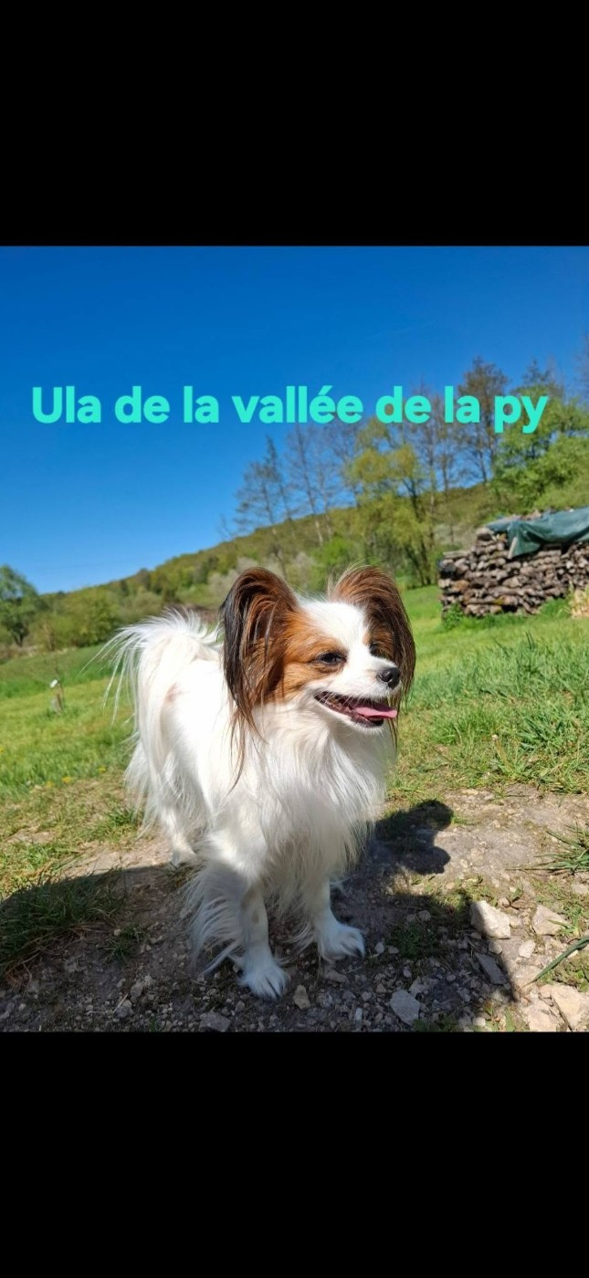 Reçu une photo de Ula merci
