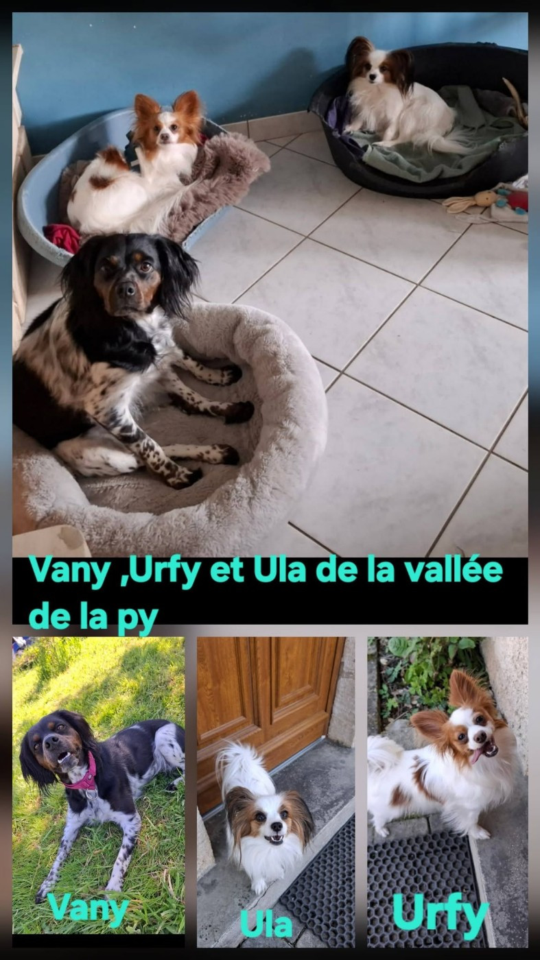 Reçu des photos de Vany ,Urfy et Ula merci