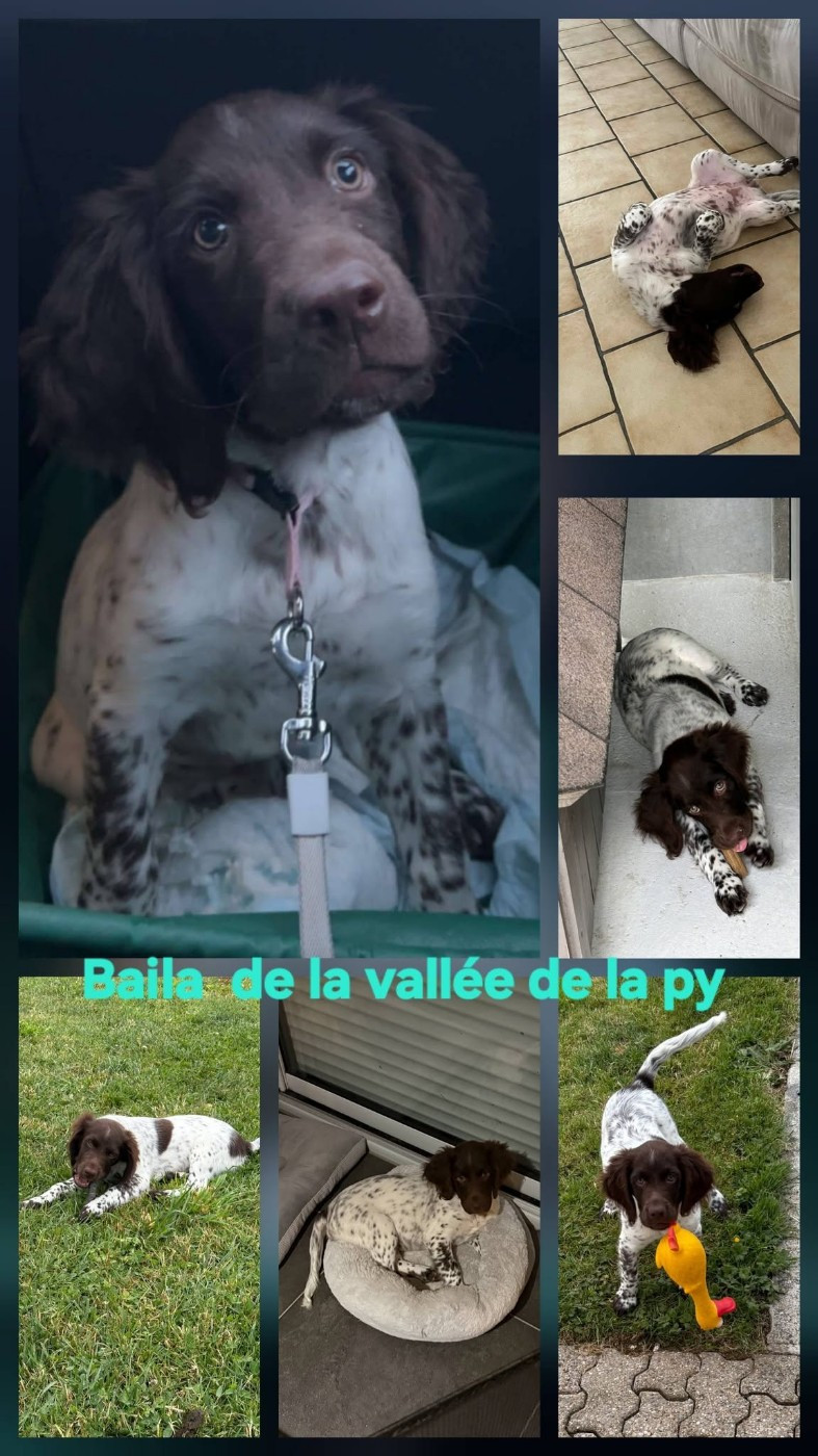 De La Vallée De La Py - Reçu des photos de Baila merci