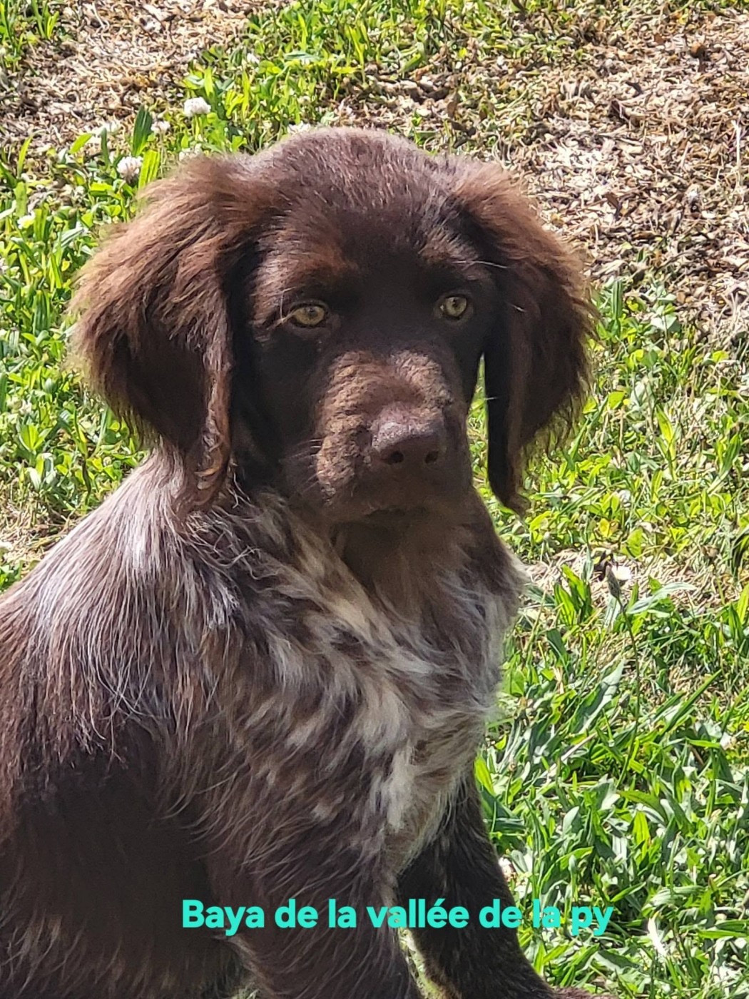 De La Vallée De La Py - Reçu une photo de Baya merci