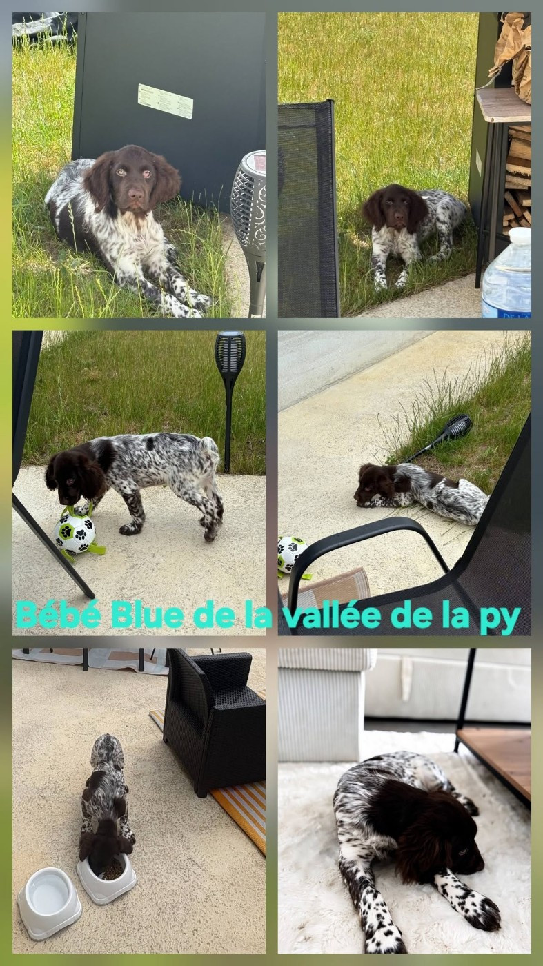 Reçu des photos de Bébé Blue merci