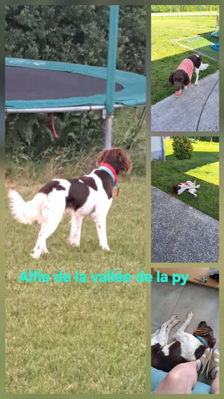 Reçu des photos de Alfie merci