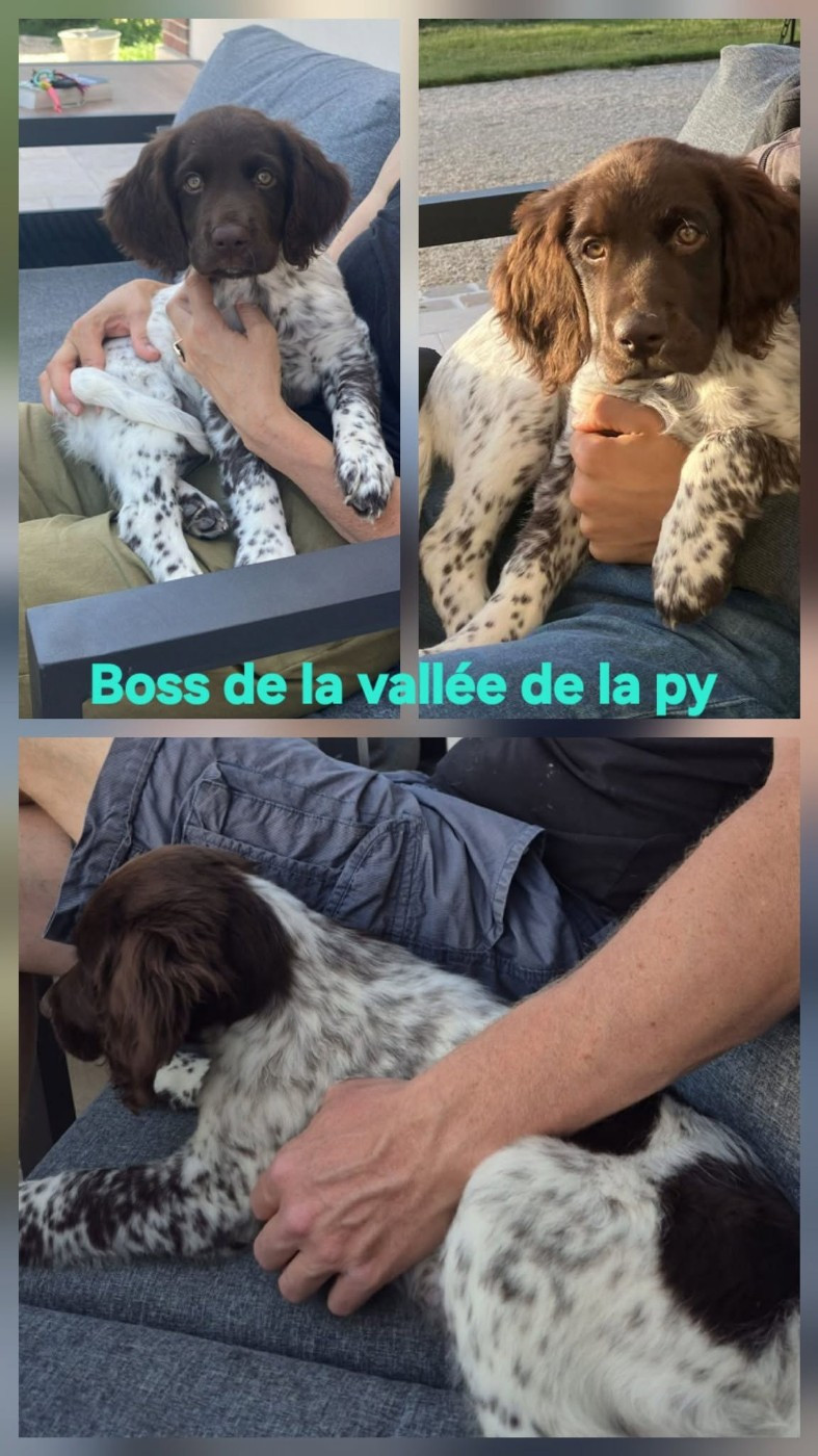 Reçu des photos de Boss merci