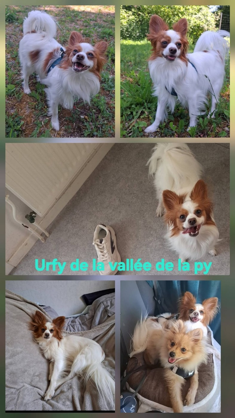 Reçu des photos de Urfy merci