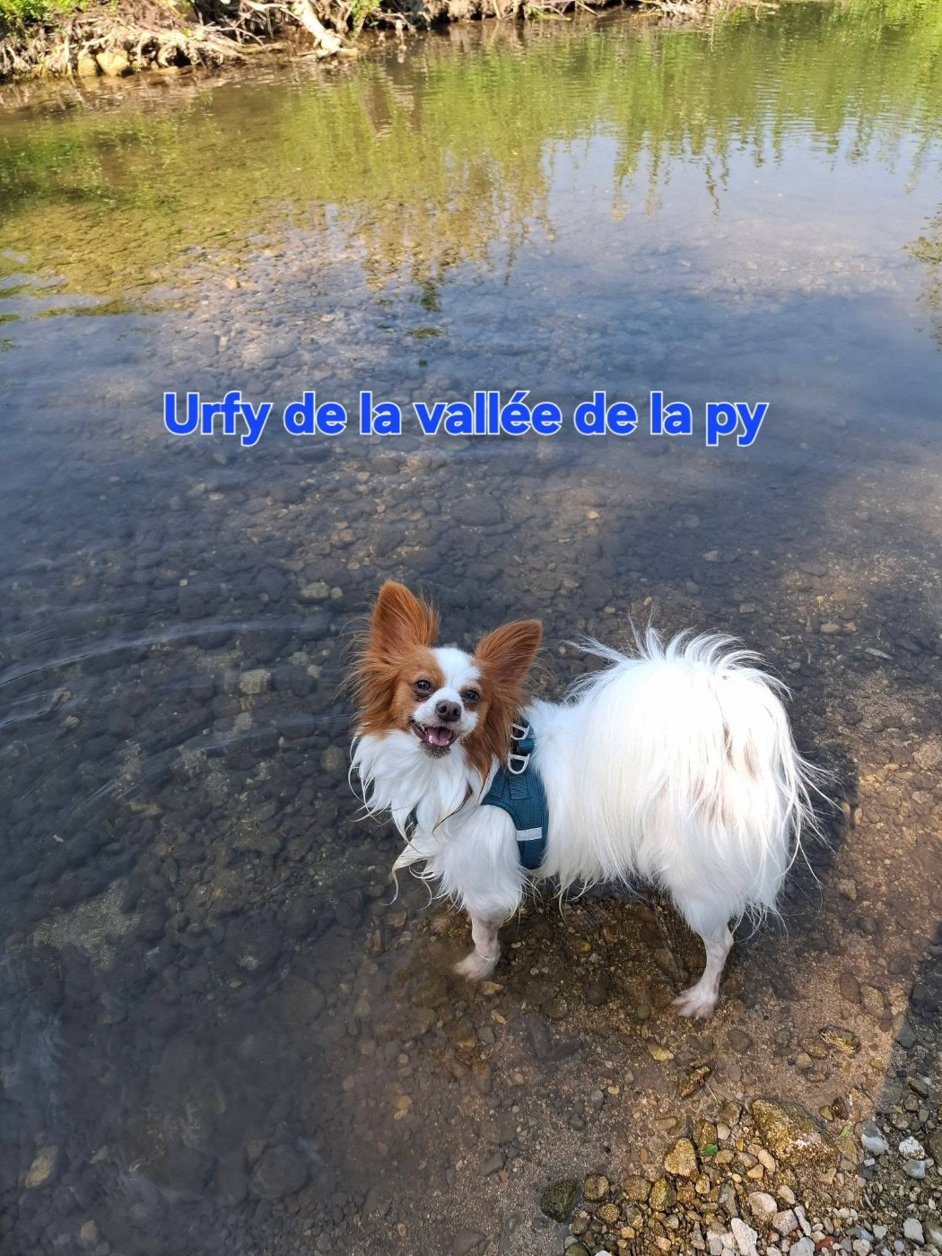 De La Vallée De La Py - Reçu une photo de Urfy merci