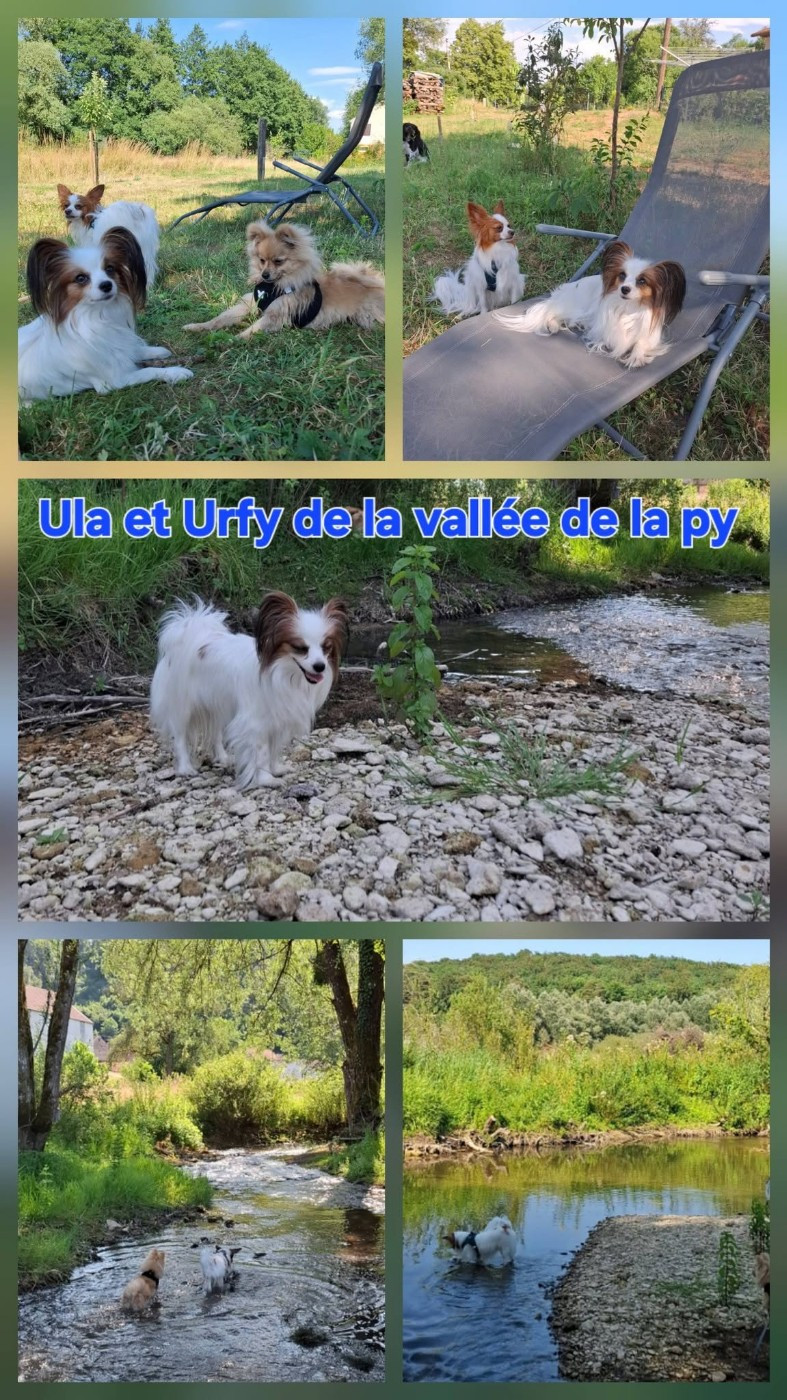 Reçu des photos de Urfy et Ula merci