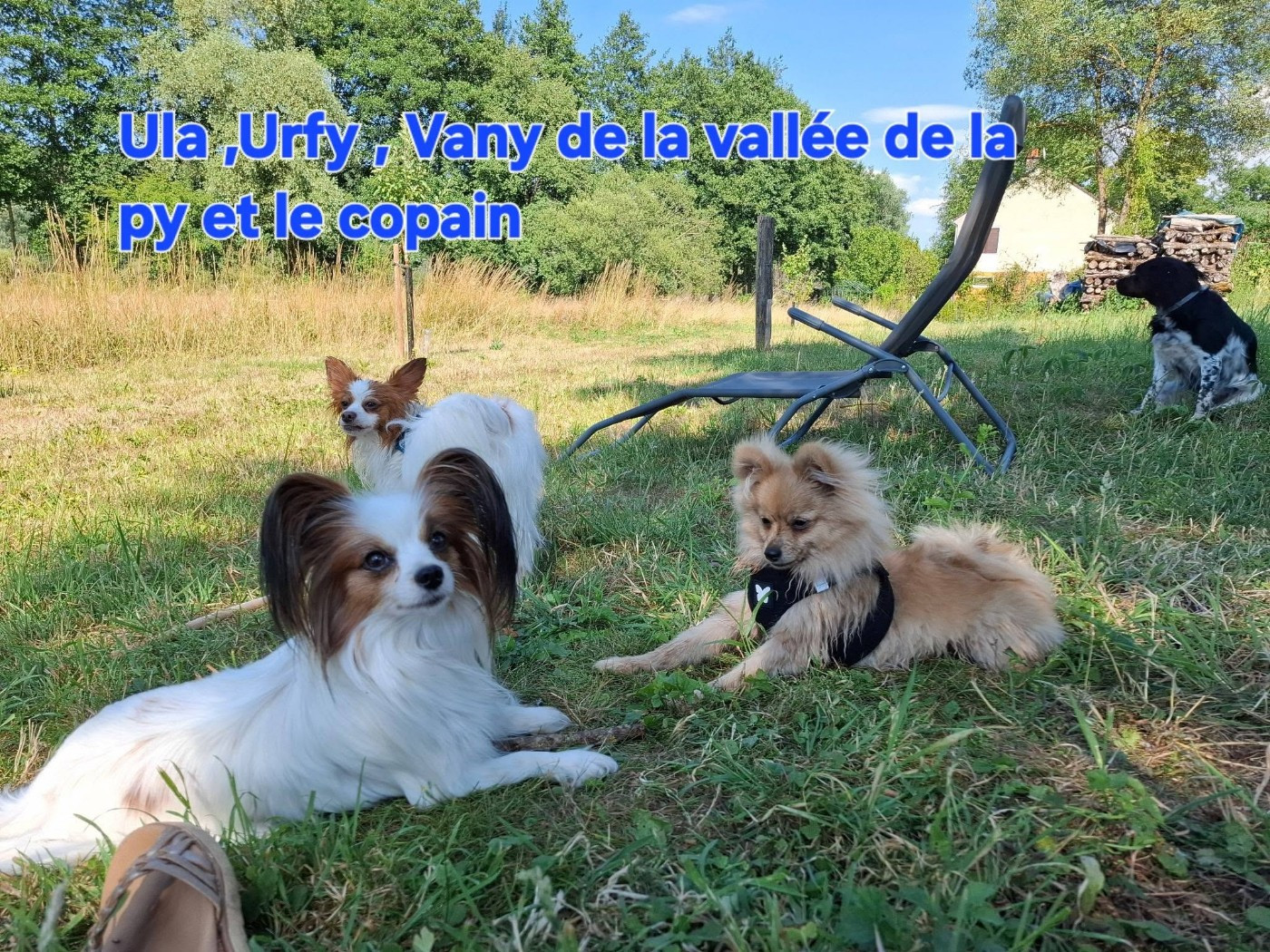 Reçu des photos Ula ,Urfy et Vany merci
