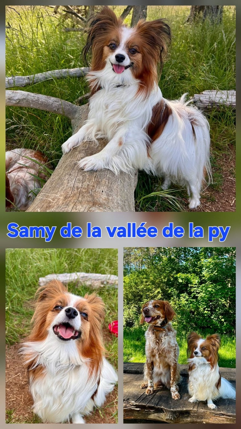 Reçu des photos de Samy merci