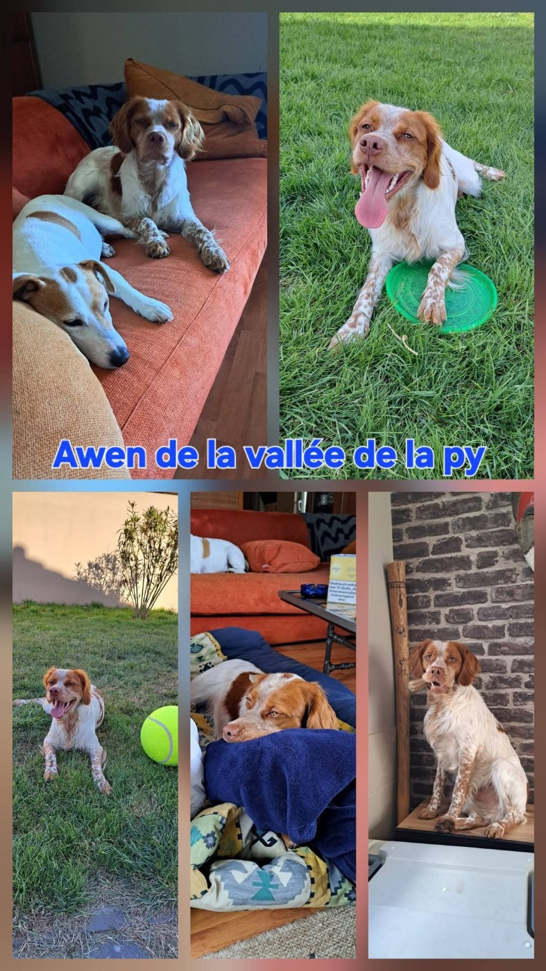 De La Vallée De La Py - Reçu des photos de Awen merci