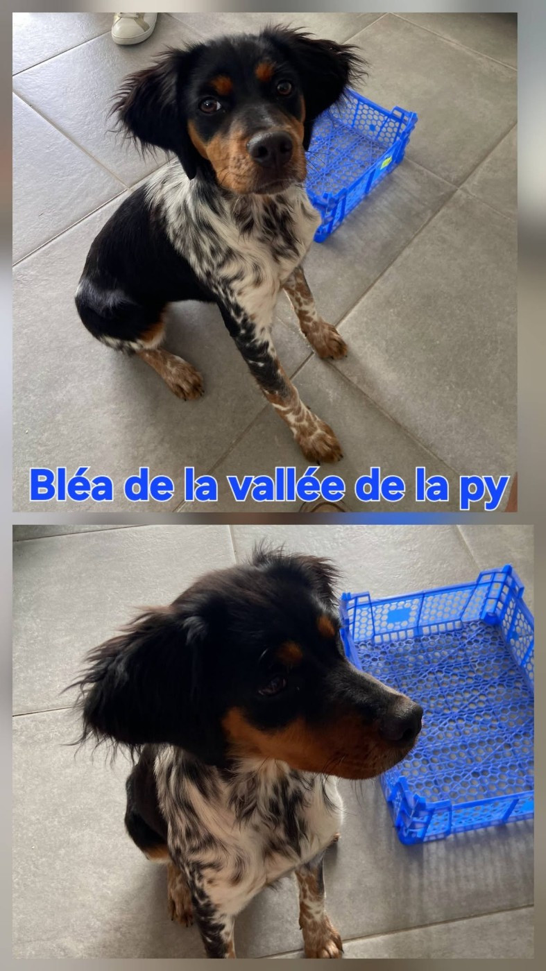 De La Vallée De La Py - Reçu des photos de Bléa merci