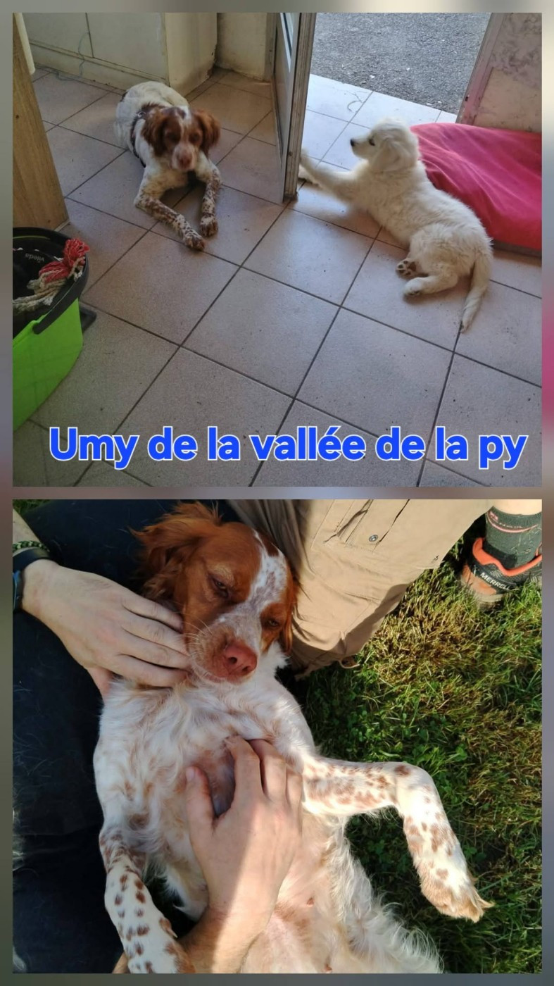 De La Vallée De La Py - Reçu des photos de Umy merci