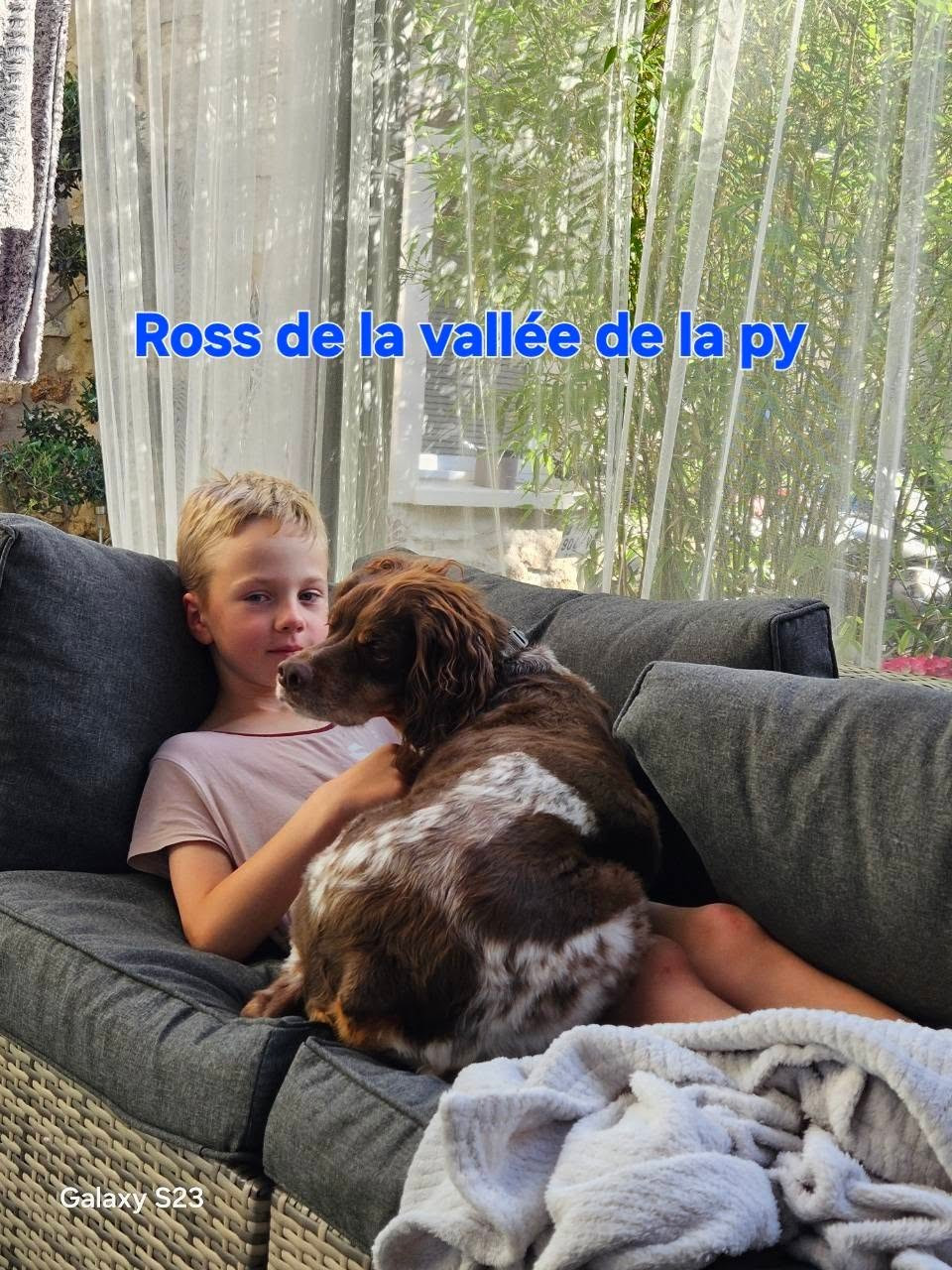 De La Vallée De La Py - Reçu une photo de Ross merci