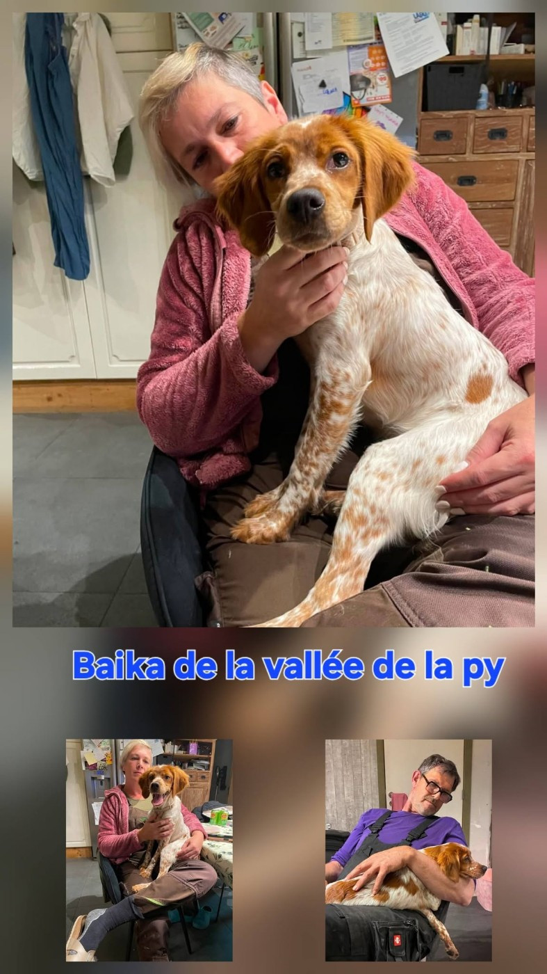 Reçu des photos de Baika merci