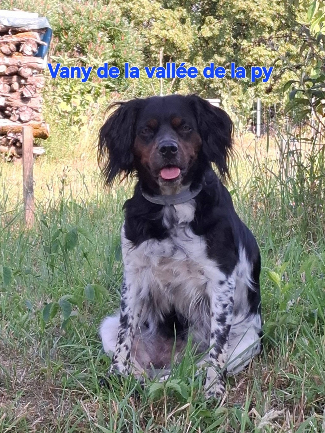 Reçu une photo de Vany merci
