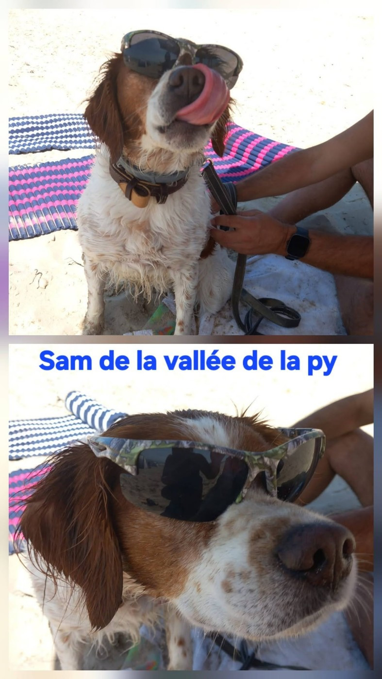 De La Vallée De La Py - Reçu des photos de SAM merci