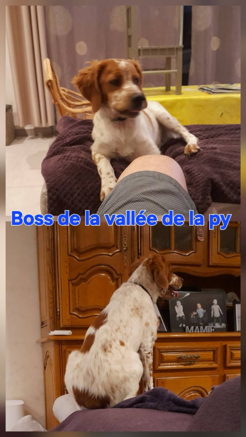De La Vallée De La Py - Reçu des photos de Boss merci