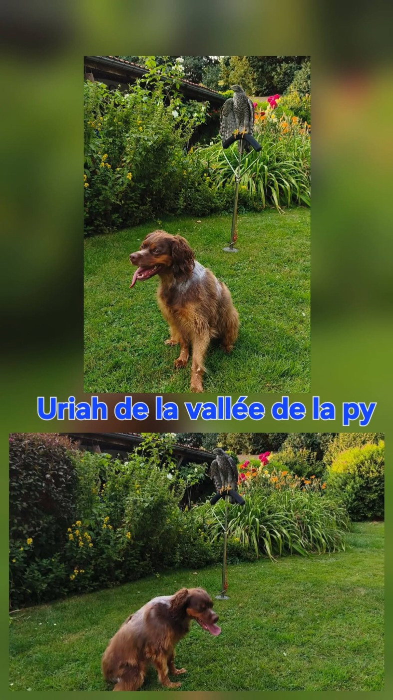 De La Vallée De La Py - Reçu des photos de URIAH merci