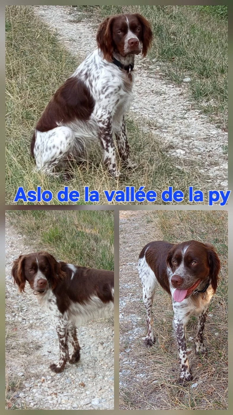 Reçu des photos de ASLO merci