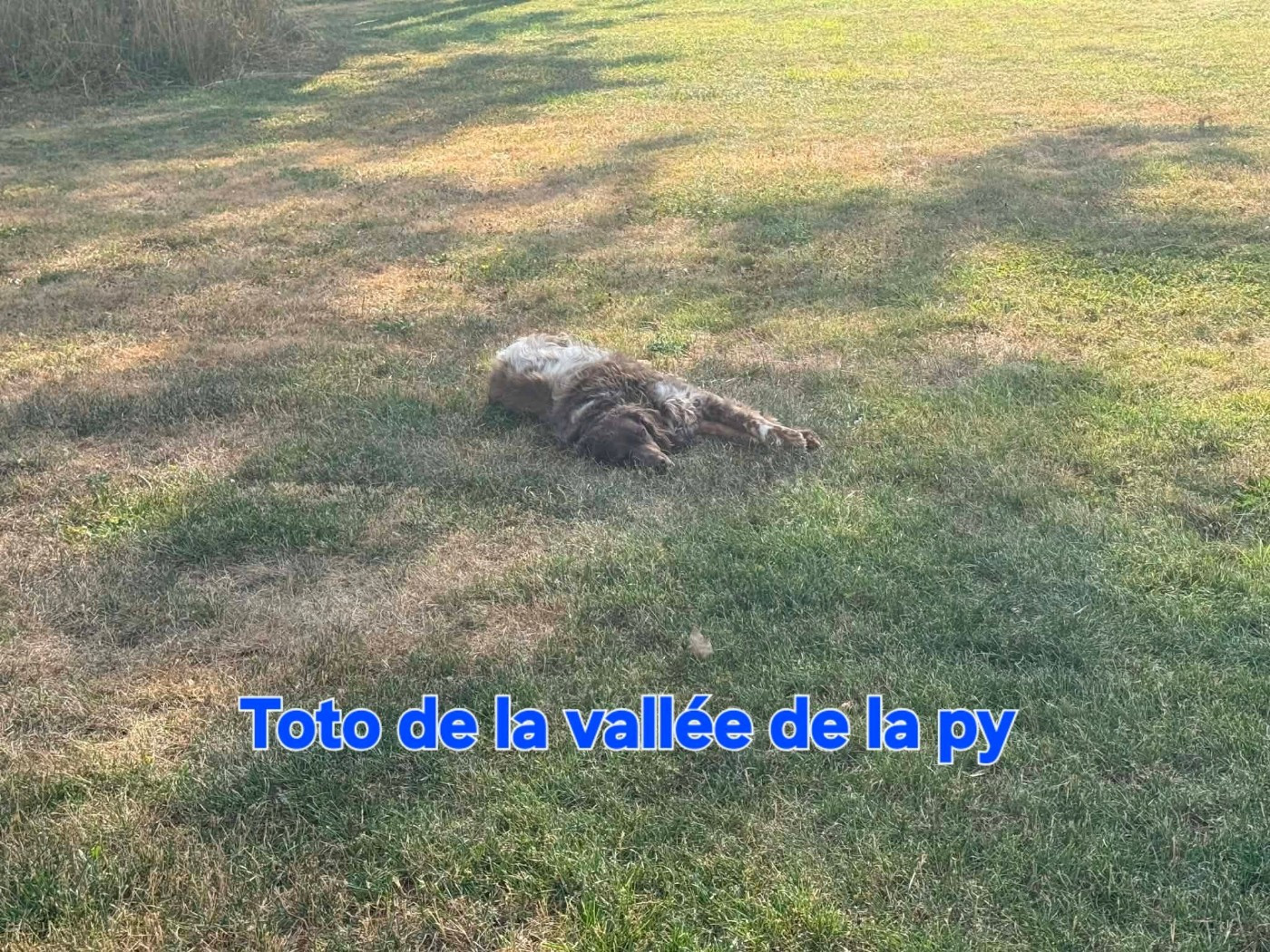 Reçu une photo de TOTO merci