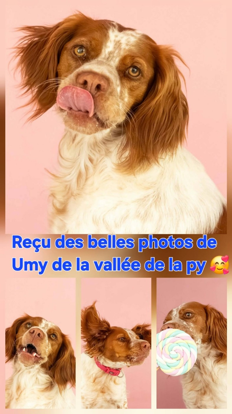 Reçu des photos de UMY merci