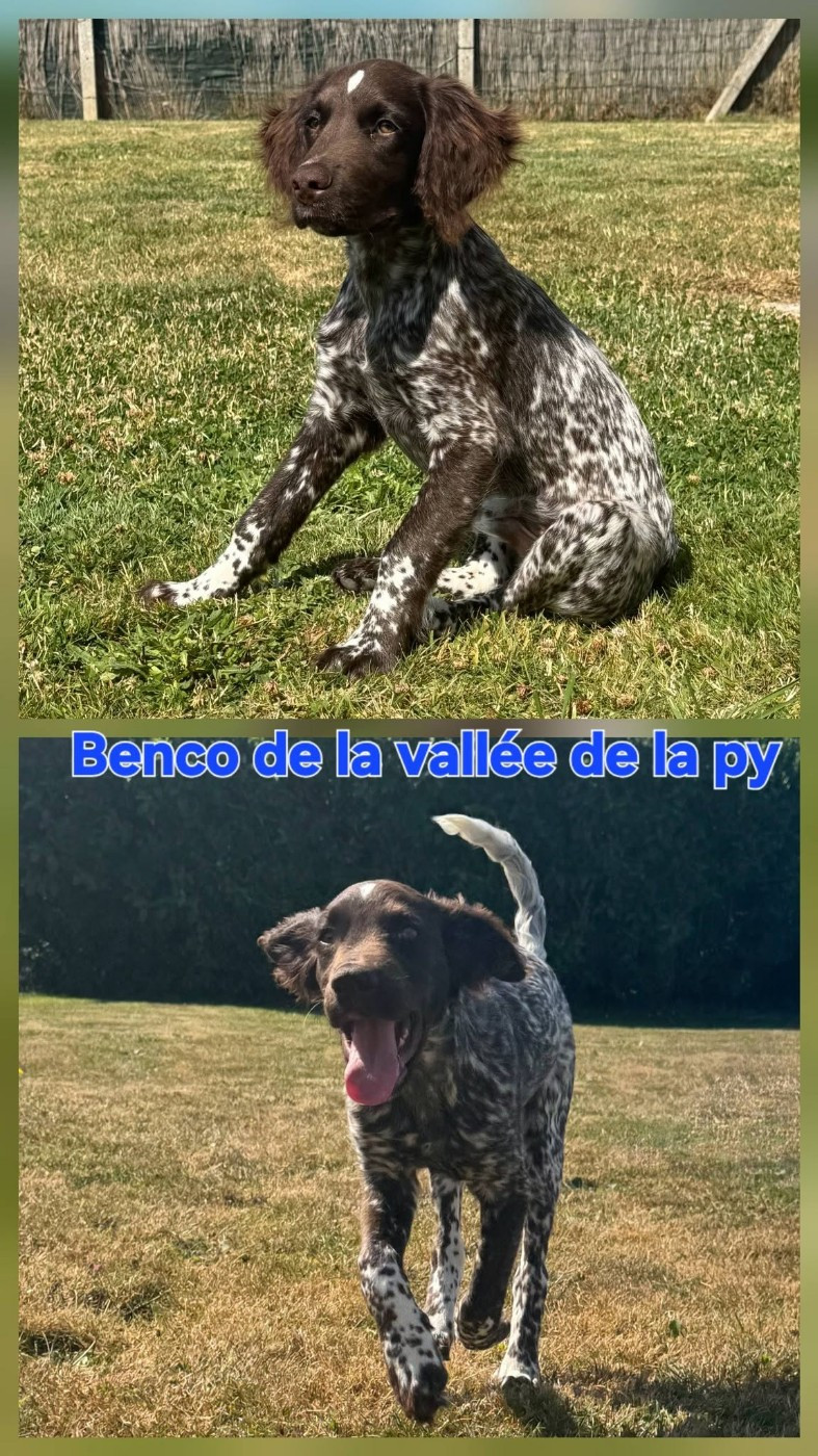 De La Vallée De La Py - Reçu des photos de Benco merci