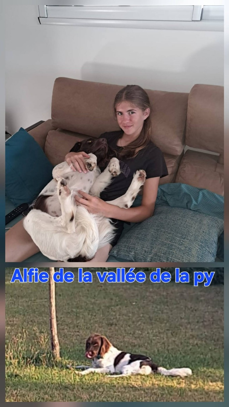 De La Vallée De La Py - Reçu des photos de Alfie merci