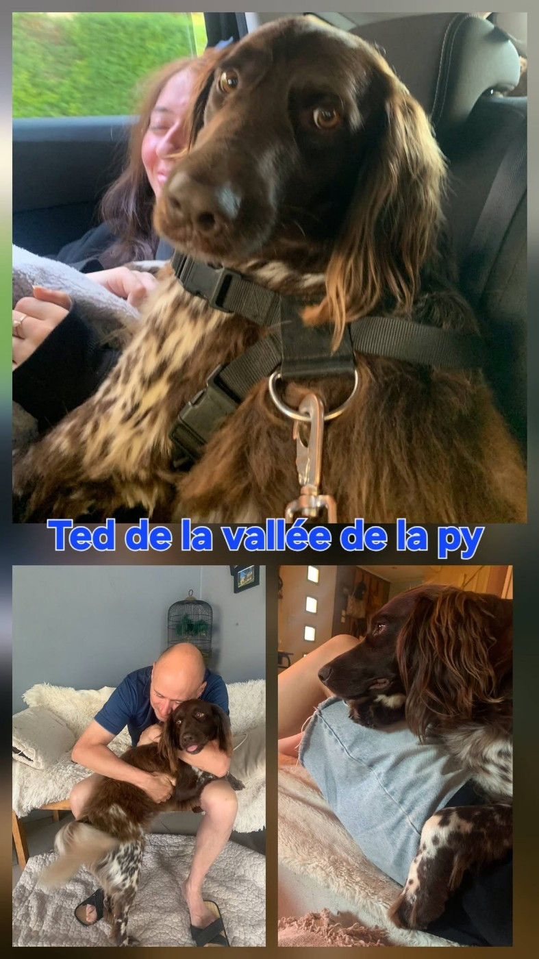 De La Vallée De La Py - Reçu des photos de TED merci