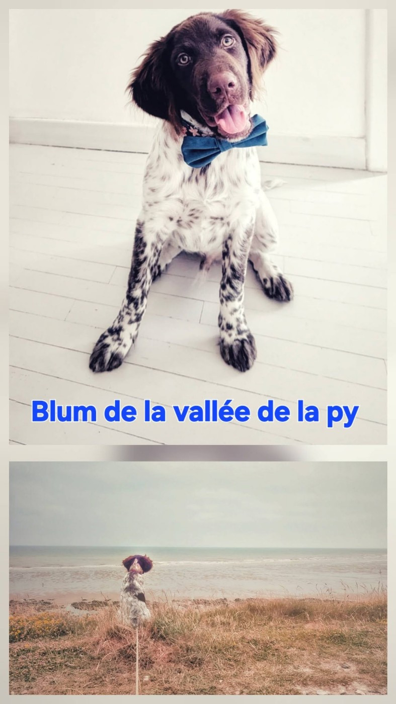 De La Vallée De La Py - Reçu des photos de Blum merci