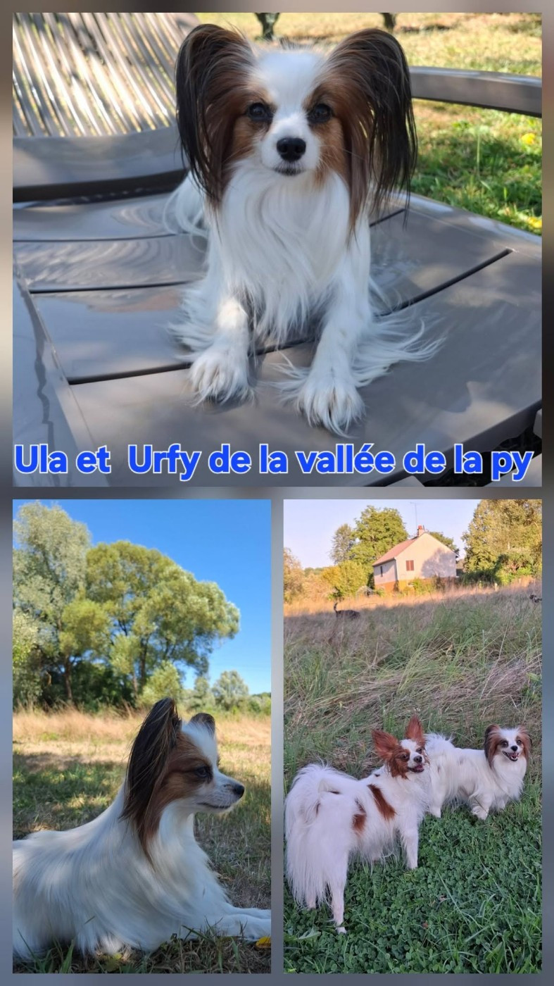 De La Vallée De La Py - Reçu des photos de Ula et Urfy merci