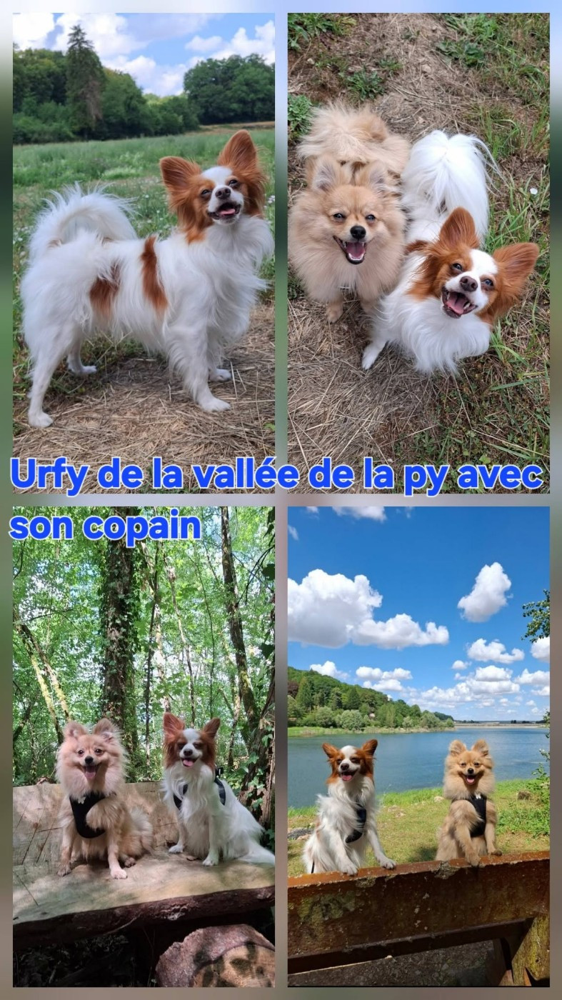 De La Vallée De La Py - Reçu des photos de Urfy merci