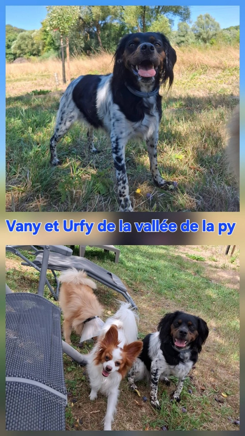 Reçu des photos de Urfy et Vany merci