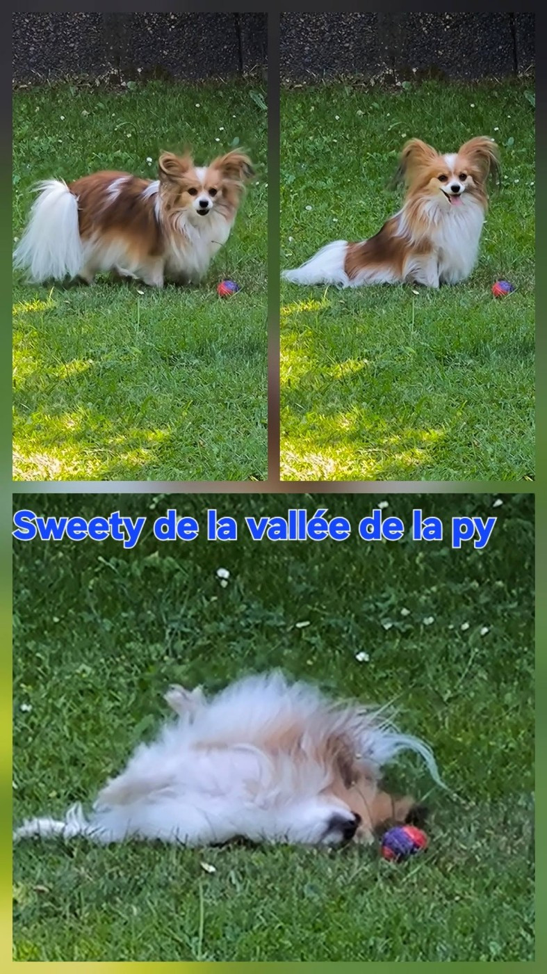 Reçu des photos de Sweety merci
