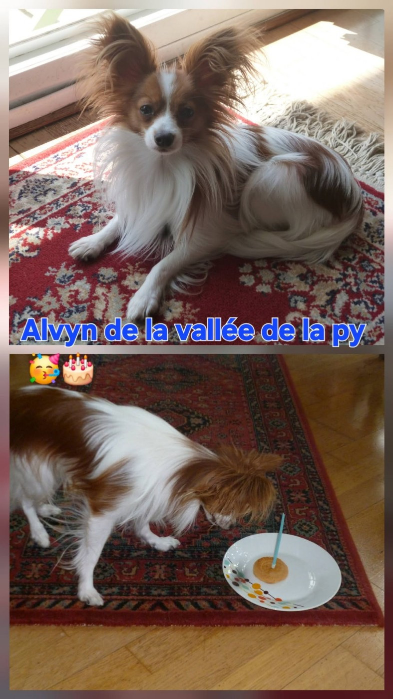 Reçu des photos de Alvyn merci
