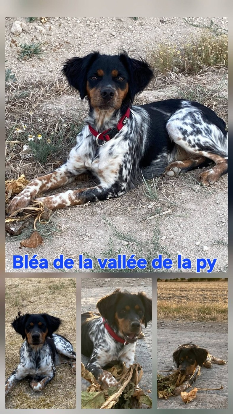 Reçu des photos de Bléa merci