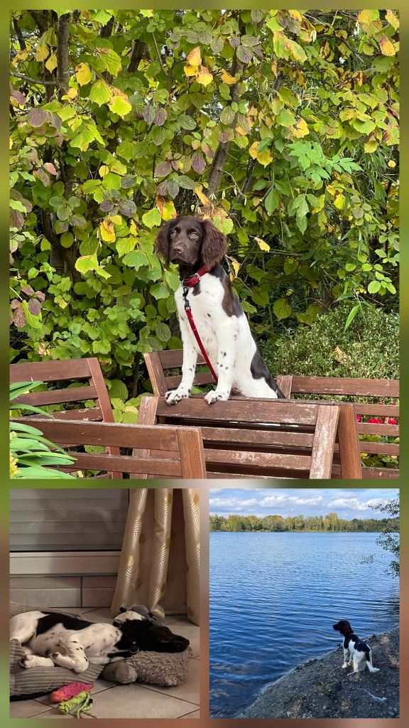 De La Vallée De La Py - 	Reçu des photos de Alma de la vallée de la py merci