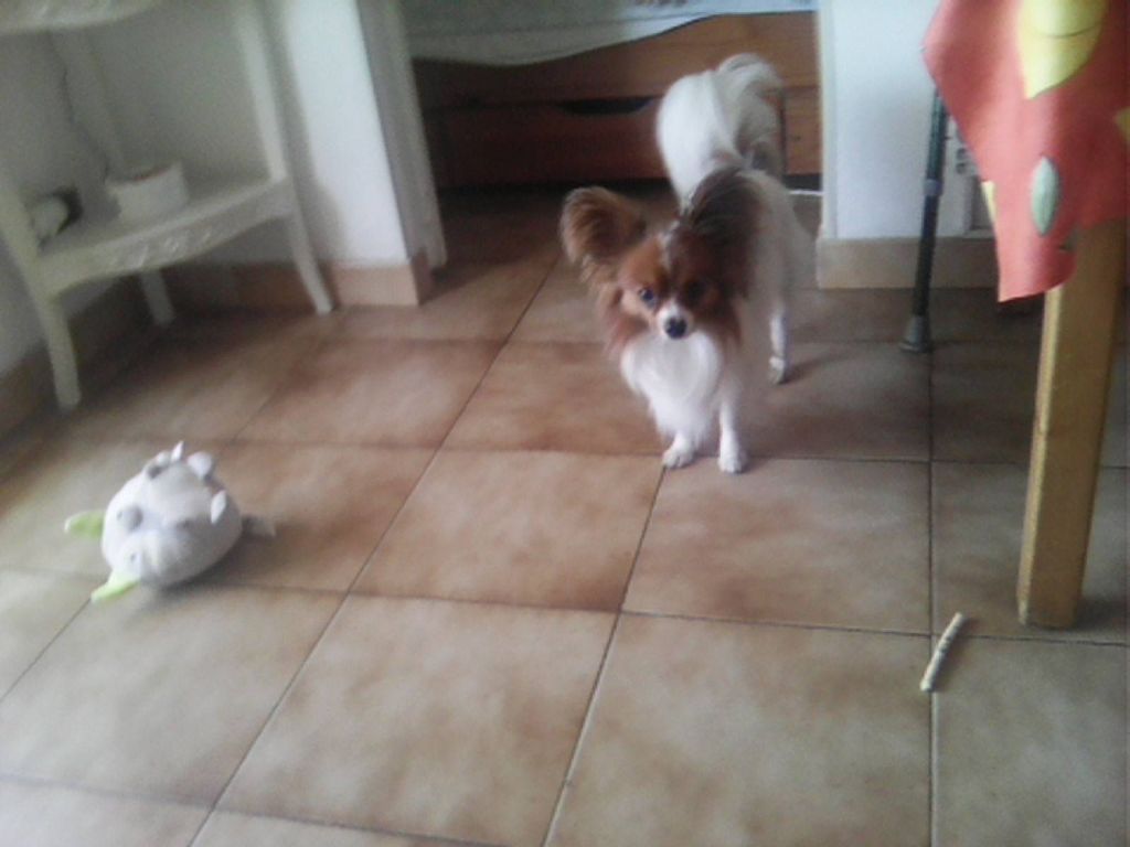 De La Vallée De La Py - Reçu une photo de Urby de la vallée de la py merci