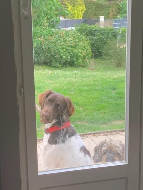 de la vallée de la Py - Reçu une photo de Roxy de la vallée de la py merci