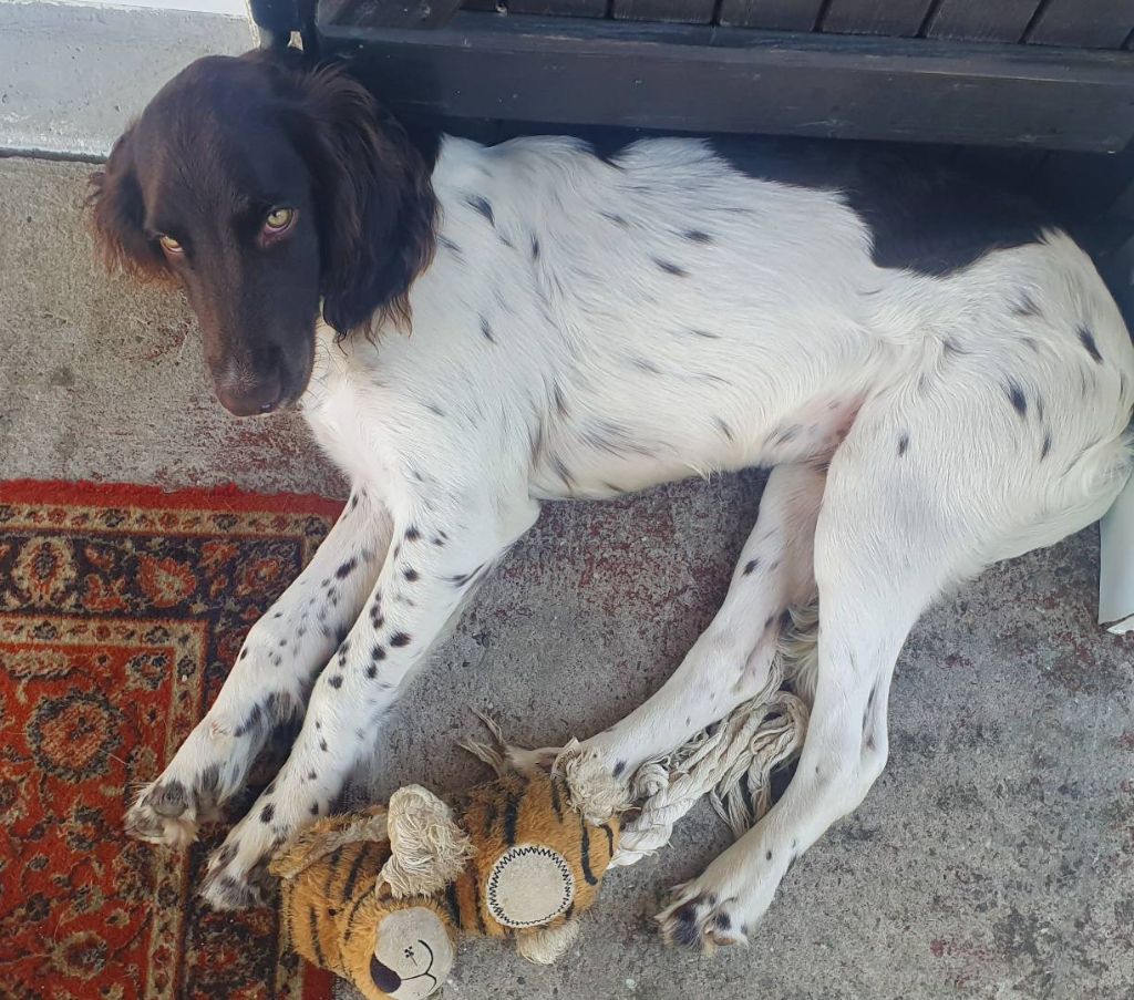 de la vallée de la Py - Reçu une photo de Adess de la vallée de la py merci