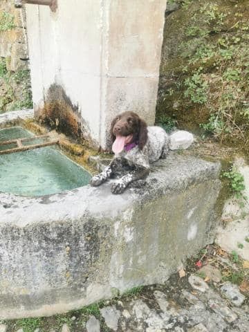 de la vallée de la Py - Reçu une photo de Salto de la vallée de la py merci
