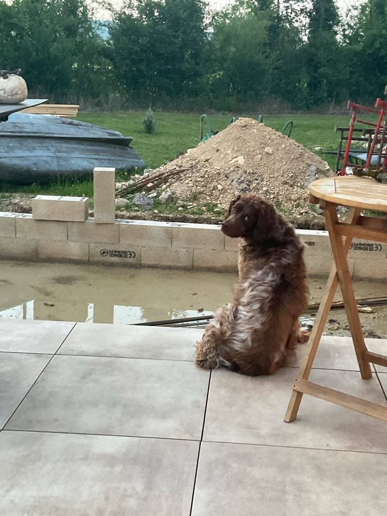 de la vallée de la Py - Reçu une photo de Toto de la vallée de la py merci