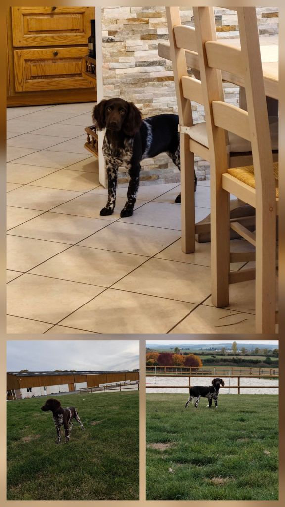 	Reçu des photos de Avane de la vallée de la py merci