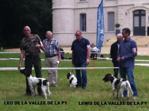 de la vallée de la Py - NATIONALE D' ELEVAGE 2016