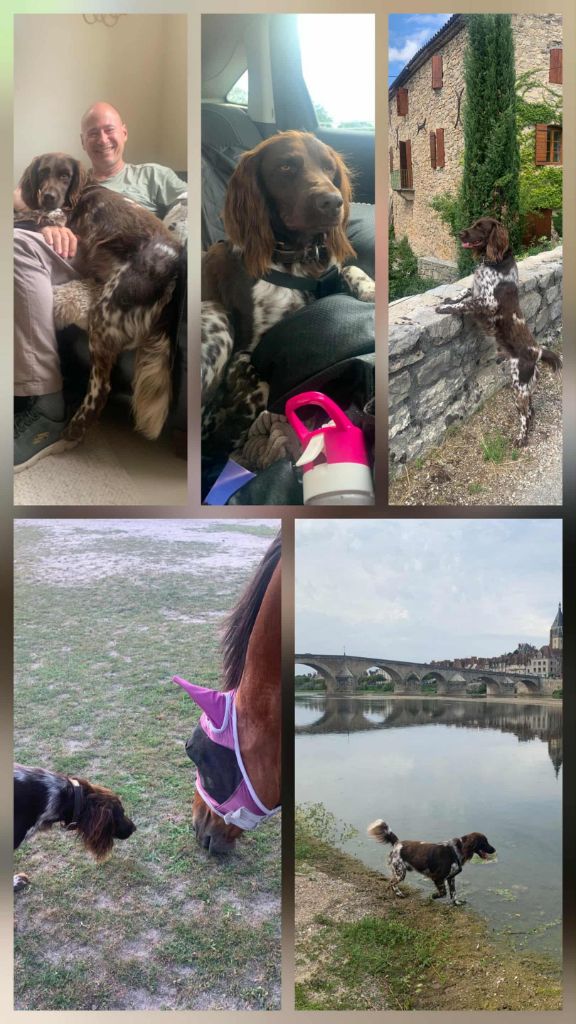 De La Vallée De La Py - RECU DES PHOTOS DE TEK dit TED DE LA VALLEE DE LA PY MERCI