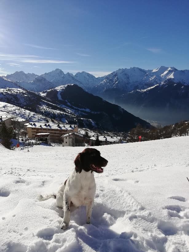 de la vallée de la Py - reçu une photo de lasso de la vallee de la py merci