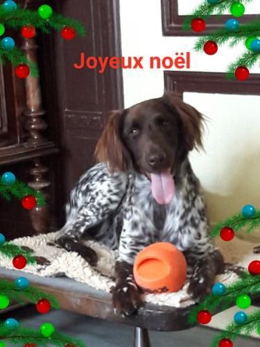 de la vallée de la Py - JOYEUX NOEL A VOUS