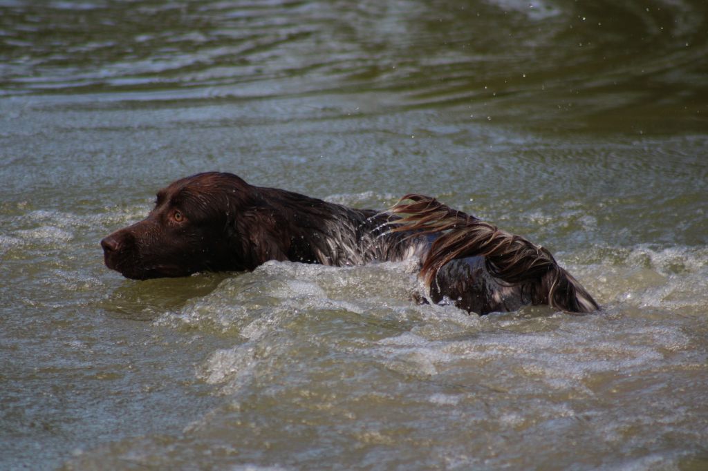 CONCOURS DE BICP 2025