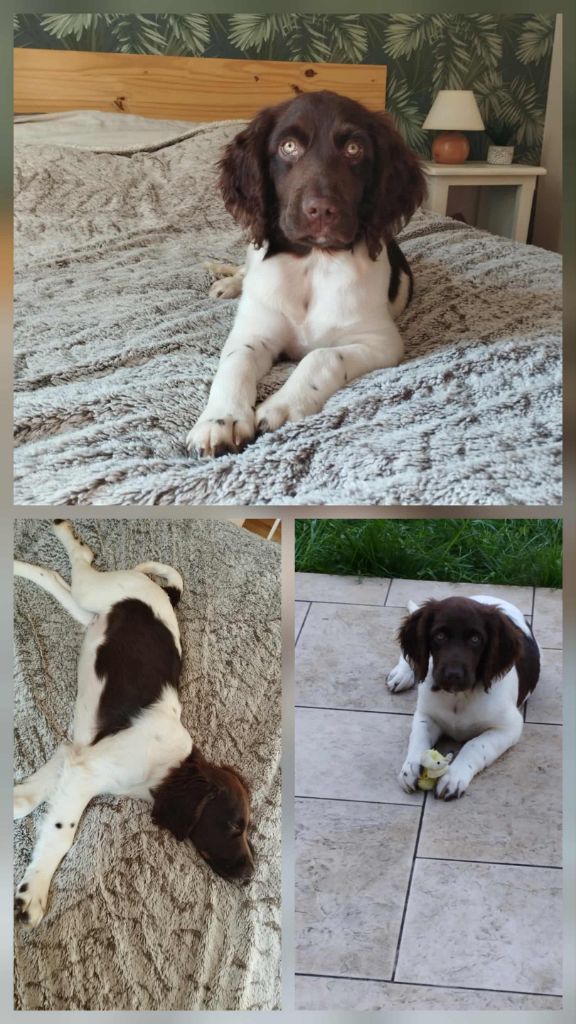 De La Vallée De La Py - RECU DES PHOTOS DE ATHOS DE LA VALLEE DE LA PY MERCI