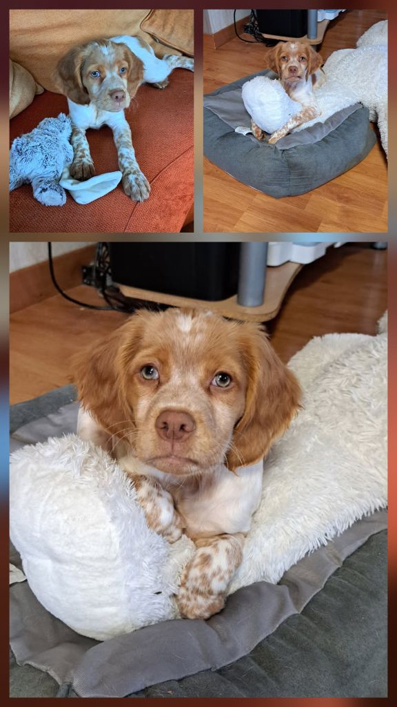 Reçu des photos de Awen  de la vallée de la py merci