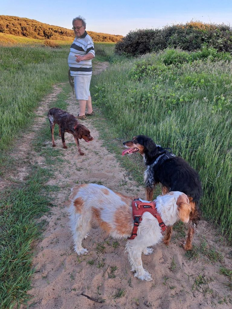 de la vallée de la Py - Reçu une photo de Mica ,Moé et Valky de la vallée de la py merci