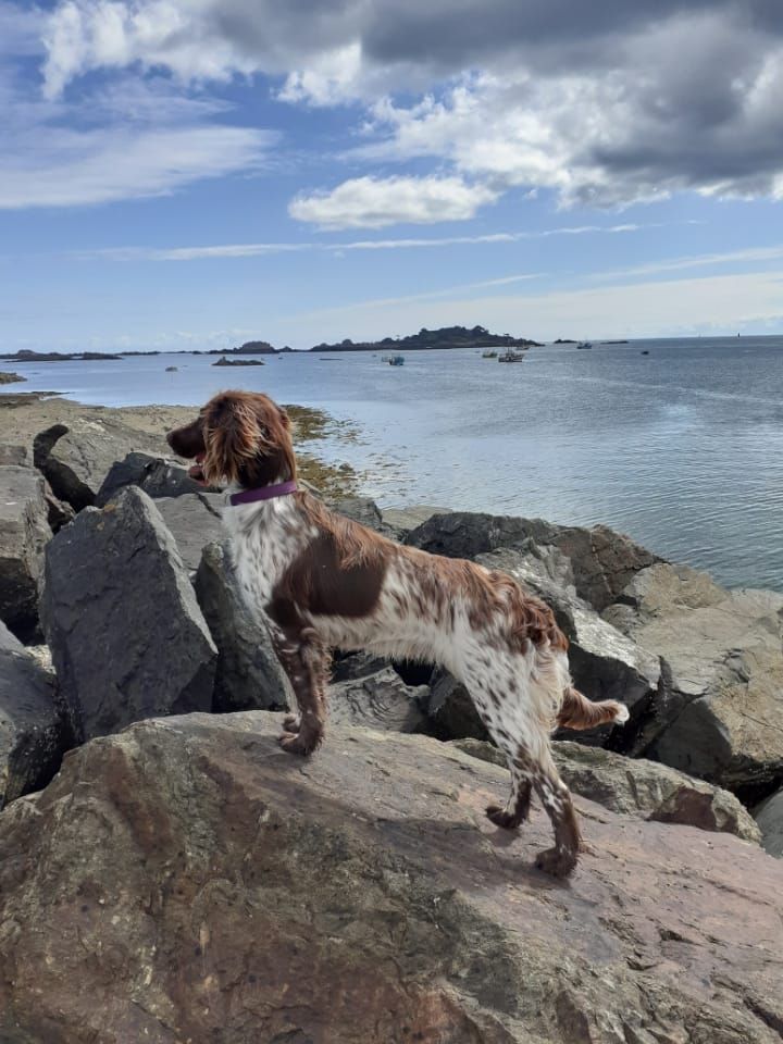 de la vallée de la Py - Reçu une photo de Pady de la vallée de la py merci